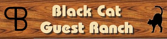 Black Cat Guest Ranch